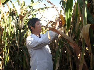 玉米密植高产全程机械化绿色生产...